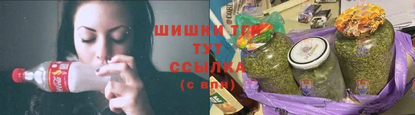амф Бронницы