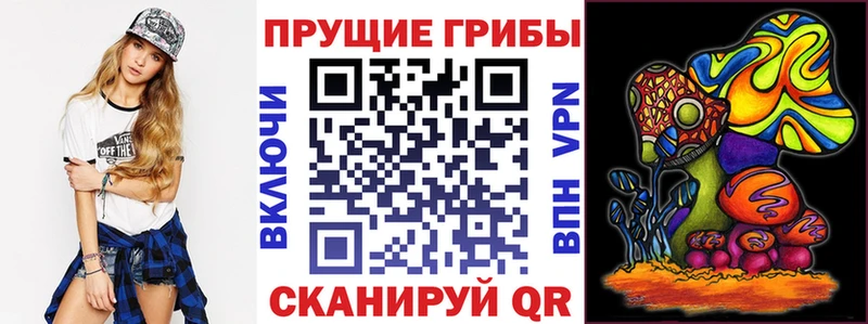 Галлюциногенные грибы Magic Shrooms  как найти закладки  Гаврилов-Ям 